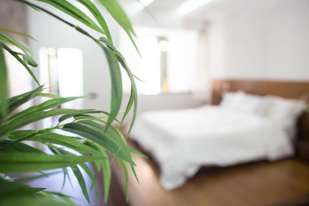 פונשל Madeira Loft I - City Center מראה חיצוני תמונה